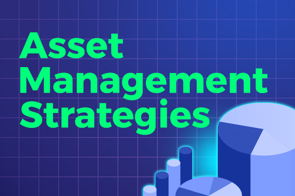 Asset Management Strategies